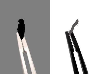 カラーバリエーションの写真